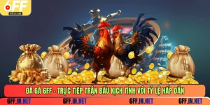 Đá gà 6FF