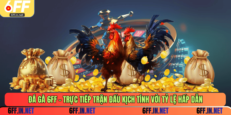 Đá gà 6FF