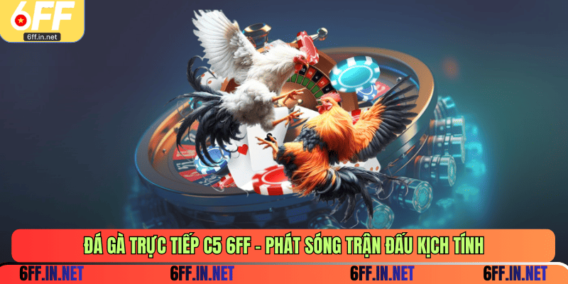Đá gà trực tiếp C5