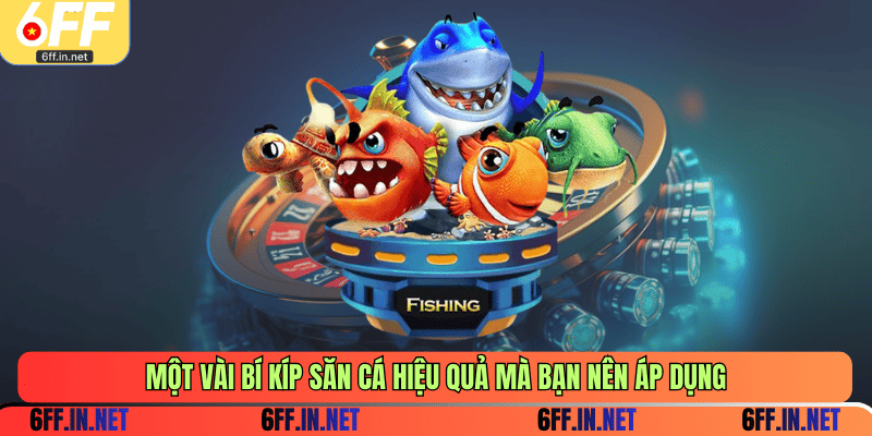 Một vài bí kíp săn cá hiệu quả mà bạn nên áp dụng