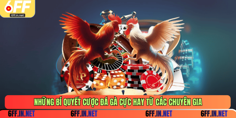 Những bí quyết cược đá gà cực hay từ các chuyên gia