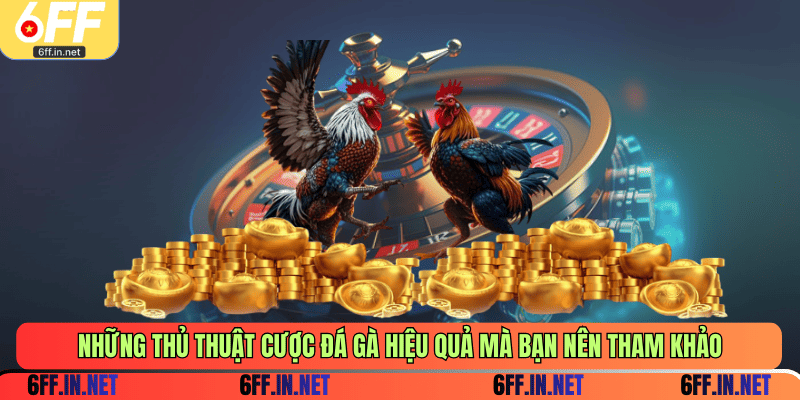 Những thủ thuật cược đá gà hiệu quả mà bạn nên tham khảo