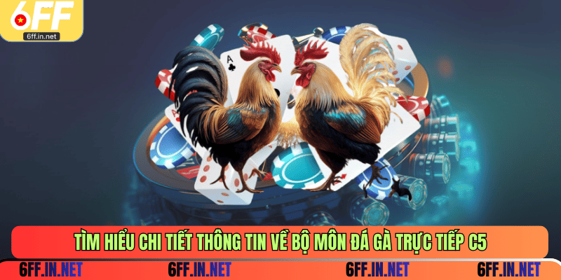 Tìm hiểu chi tiết thông tin về bộ môn đá gà trực tiếp C5